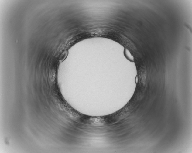 X0000101450660200808041020