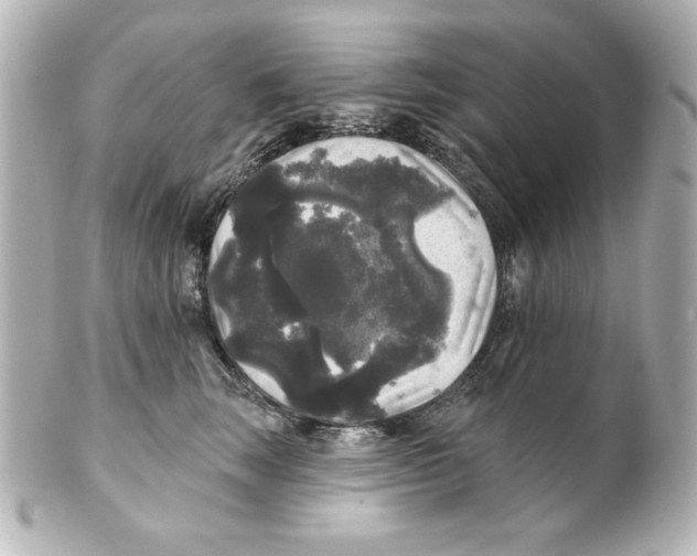 X0000101450663200808041020