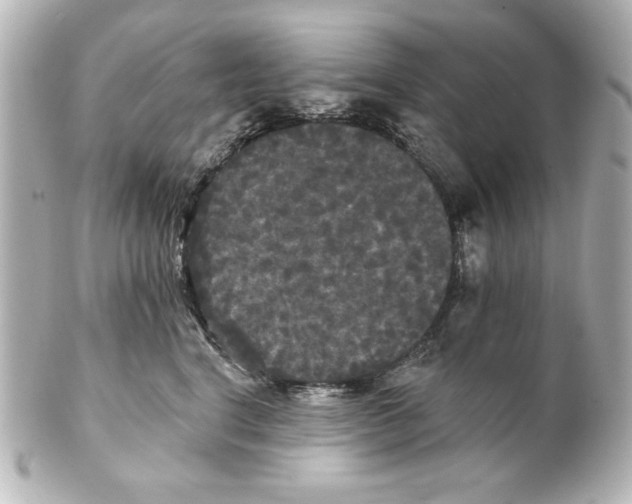 X0000101450664200808041020