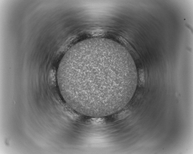 X0000101450667200808041020