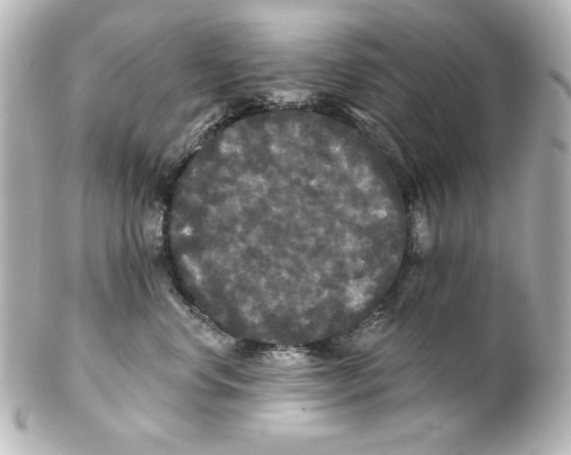 X0000101450668200808041020