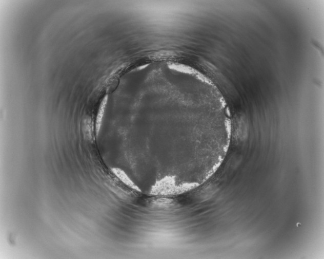 X0000101450669200808041020