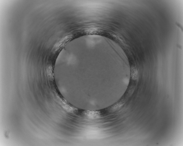 X0000101450670200808041020