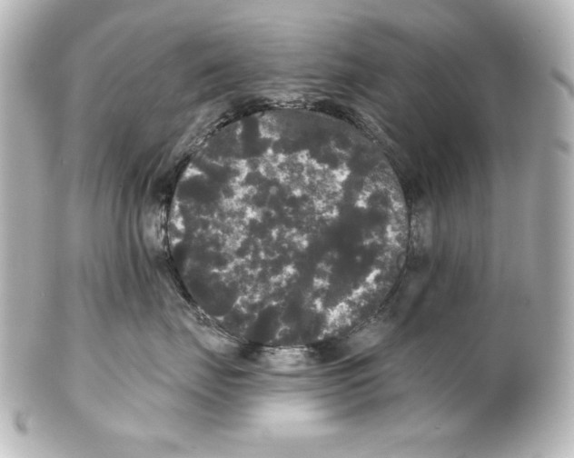 X0000101450671200808041020