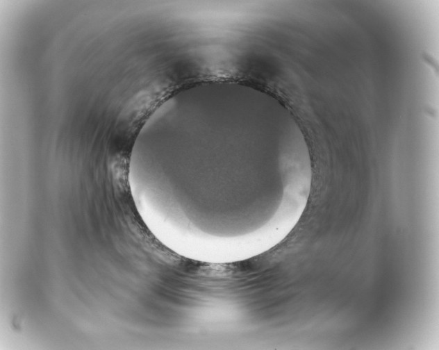 X0000101450672200808041020