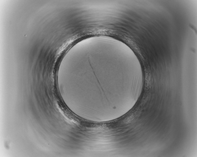 X0000101450674200808041019