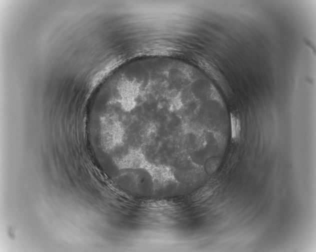 X0000101450675200808041019