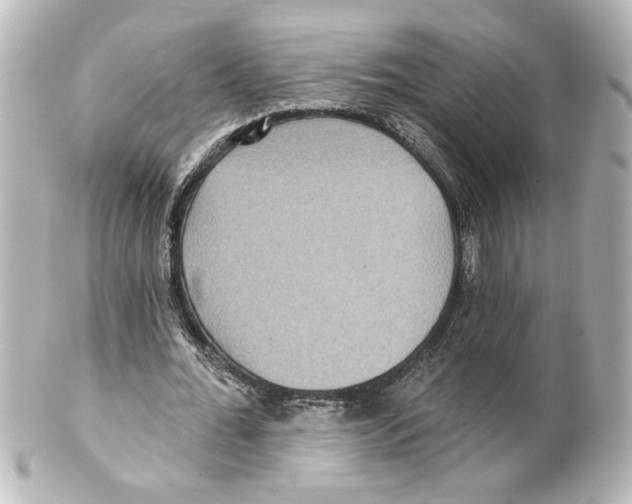 X0000101450676200808041019