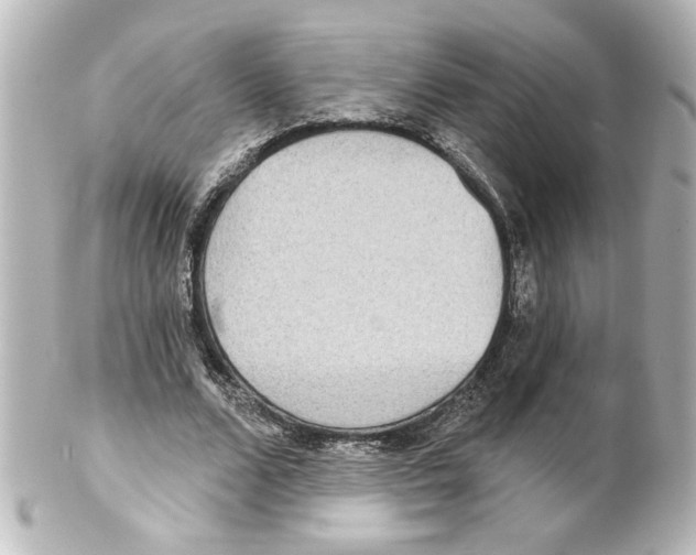 X0000101450680200808041019