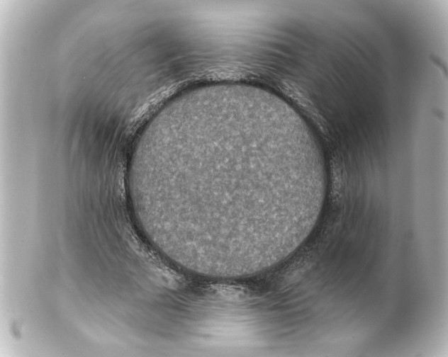 X0000101450681200808041019