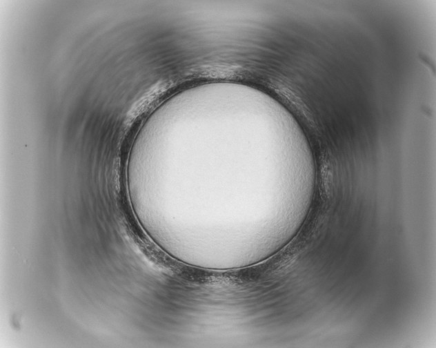 X0000101450682200808041019