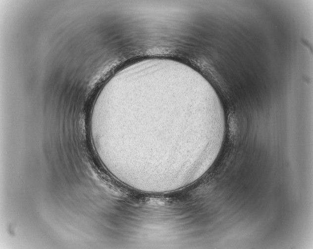 X0000101450684200808041019