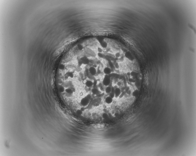 X0000101450687200808041019