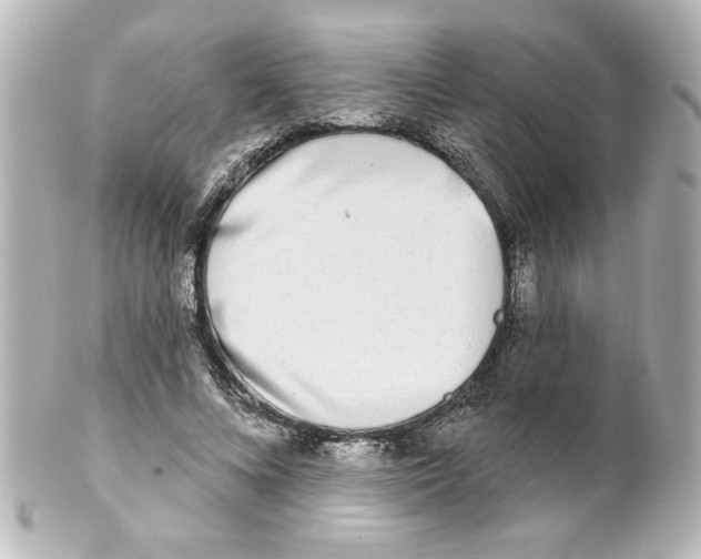 X0000101450688200808041019