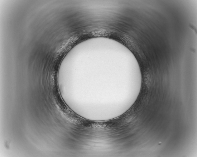 X0000101450690200808041019