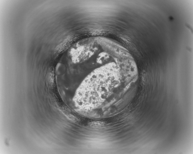 X0000101450691200808041019