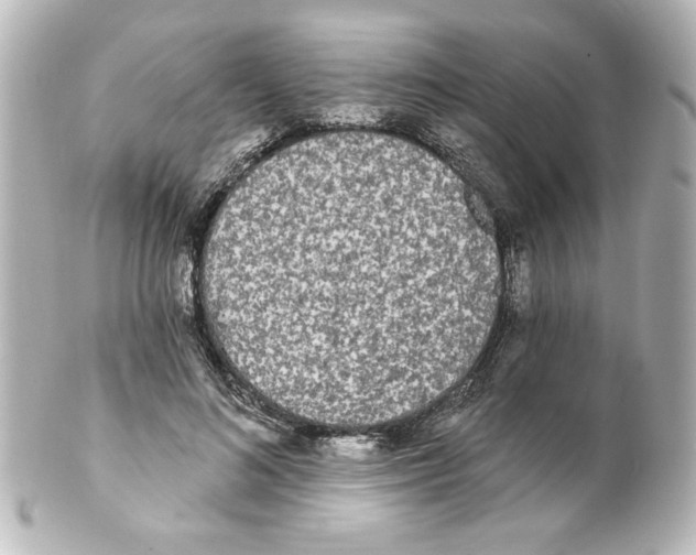 X0000101450692200808041019