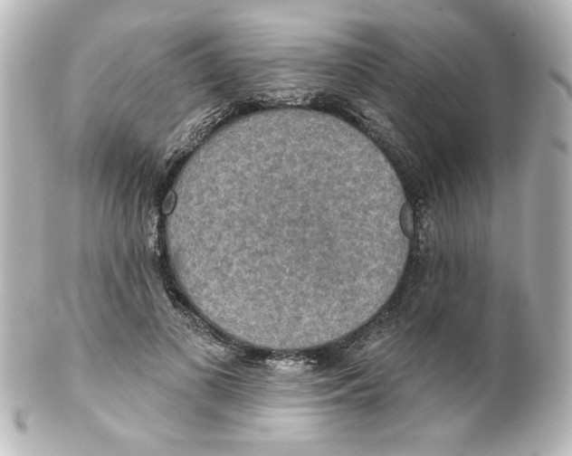 X0000101450693200808041019