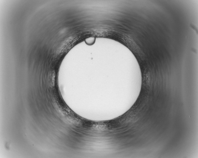 X0000101450694200808041019