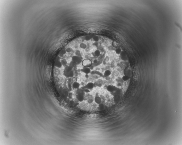 X0000101450695200808041019