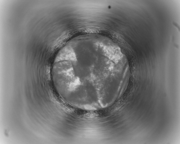 X0000101450696200808041019