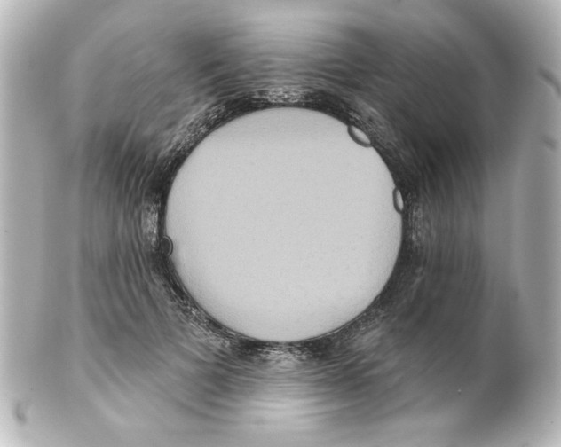 X0000101450697200808041019