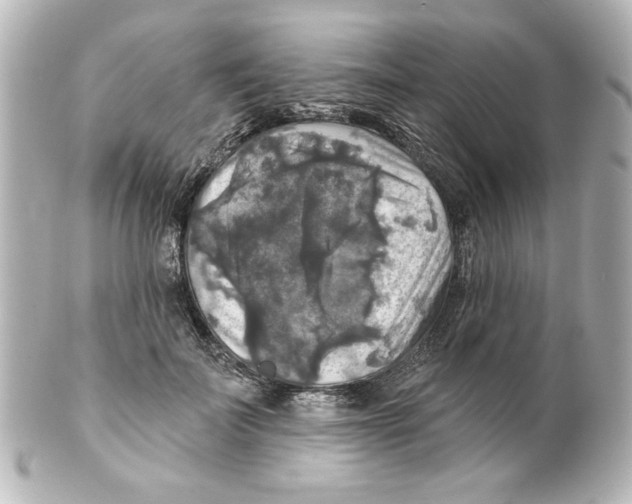 X0000101450699200808041019