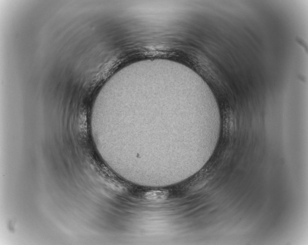 X0000101450700200808041019