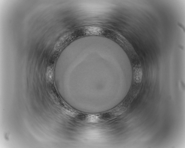 X0000101450701200808041018