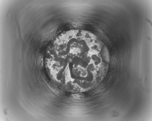 X0000101450703200808041018