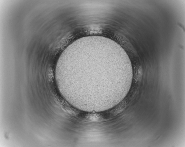 X0000101450704200808041018