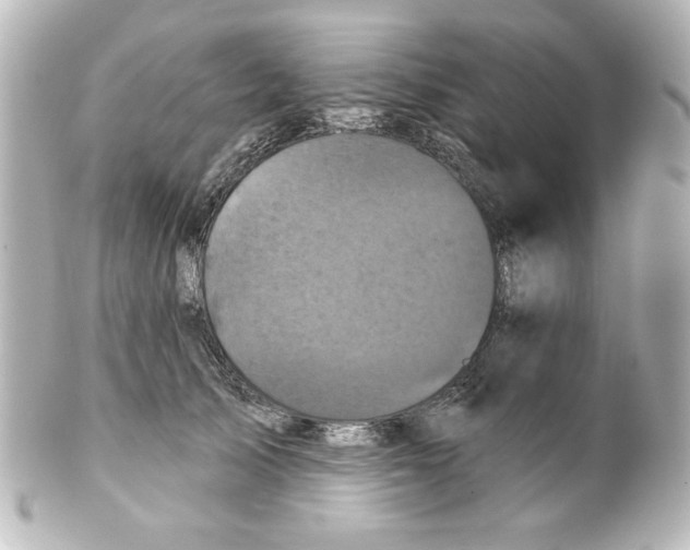 X0000101450705200808041018