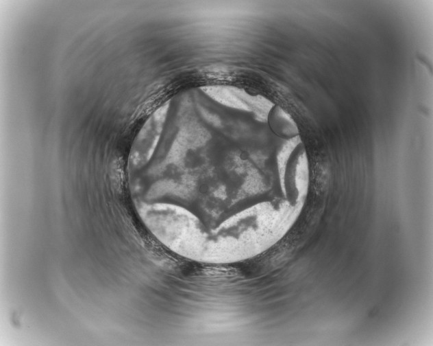 X0000101450707200808041018