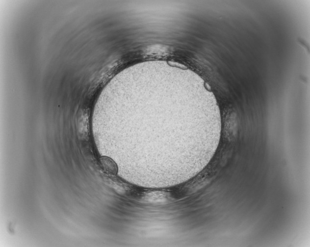 X0000101450708200808041018