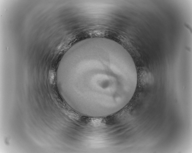 X0000101450709200808041018