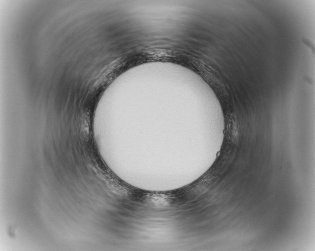 X0000101450710200808041018