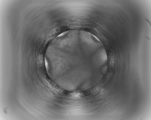 X0000101450711200808041018