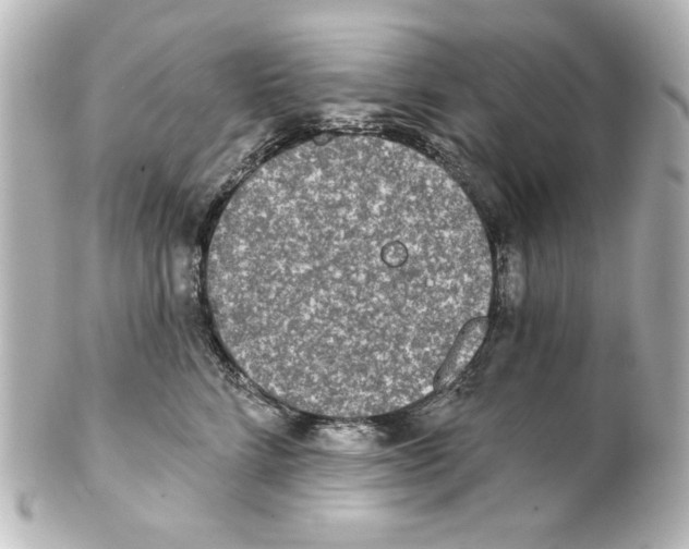 X0000101450712200808041018