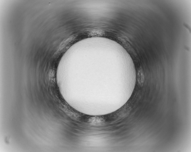 X0000101450714200808041018