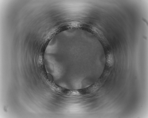 X0000101450715200808041018