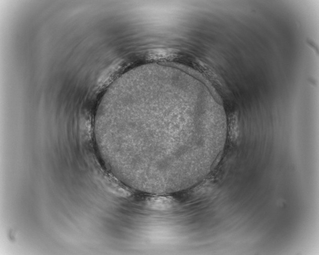 X0000101450716200808041018