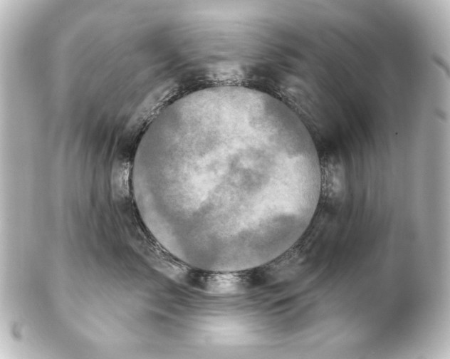 X0000101450717200808041018