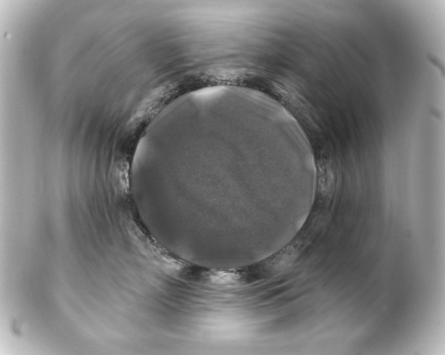 X0000101450718200808041018