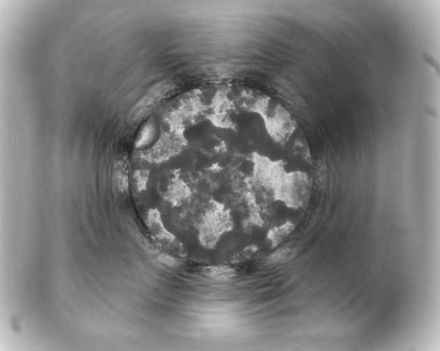 X0000101450719200808041018