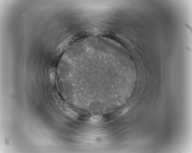 X0000101450720200808041018