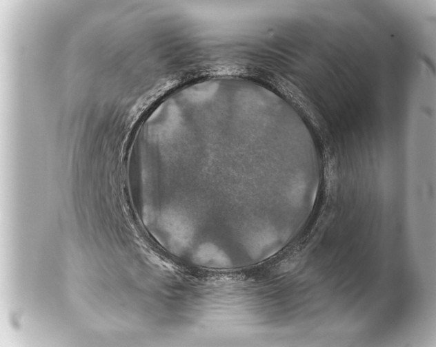 X0000101450721200808041018