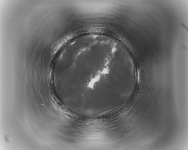 X0000101450723200808041018