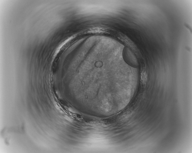 X0000101450724200808041018