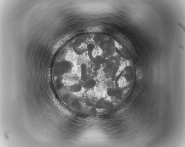 X0000101450725200808041018