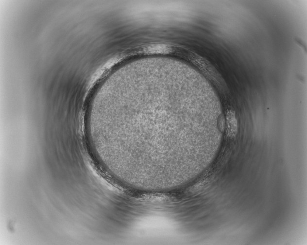 X0000101450726200808041018